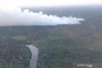 BNPB: Ada titik api Karhutla di SM GSK Riau