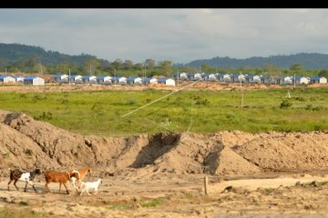 ATR/BPN minta tidak ada penambahan lahan relokasi di Palu dan Sigi