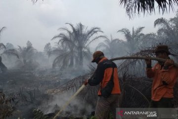 BMKG: Belasan titik panas Karhutla kepung Bengkalis