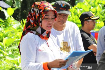 Wagub Lampung Nunik tinjau pembangunan jalan wisata Teluk Kiluan