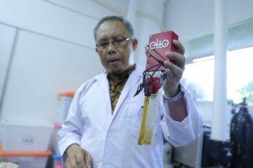 Dosen UGM kembangkan lidah elektronik untuk autentikasi halal makanan