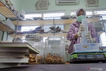 Peneliti: Obat herbal tidak bisa diklaim untuk mengobati