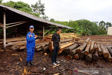 Polisi sita 850 batang log-kayu olahan ilegal