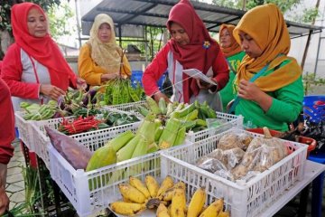 Pasar tani pekarangan