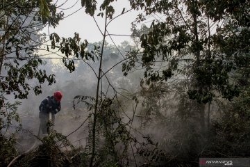 Kebakaran lahan gambut di Pekanbaru