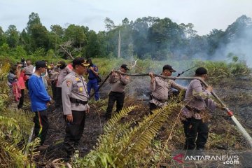 Polisi: Tersangka Karhutla di Riau bertambah jadi 12 orang