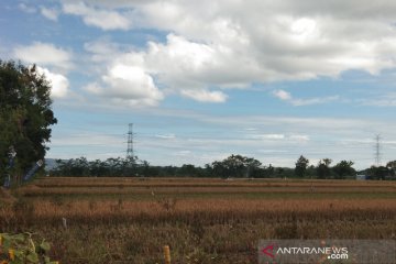 Puluhan hektare sawah di Dlingo Bantul terancam kekeringan