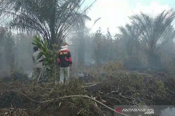 BBKSDA Riau tertibkan gubuk perambah di lokasi karhutla GSK