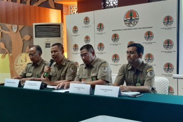 Bidara laut bisa jadi opsi dalam upaya mencegah tanah longsor