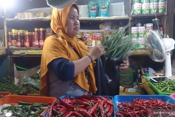 Kurangi kantong kresek, Pasar Tebet Barat dan Timur jadi percontohan