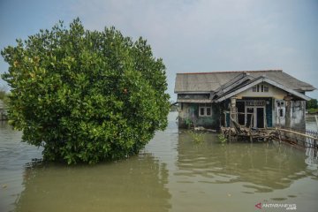 Kampung Beting yang perlahan hilang ditelan abrasi