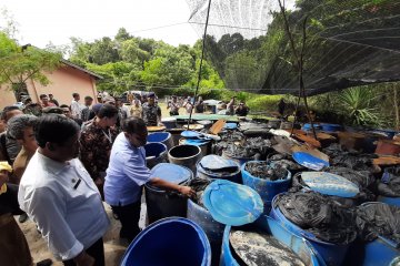 Sejumlah turis asing kapok ke Bintan akibat limbah minyak hitam