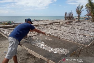 KKP gencarkan pelatihan diversifikasi pengolahan ikan