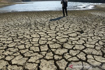 Kekeringan akibat pembalakan liar