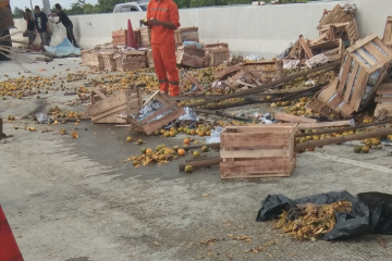 Tumpahan jeruk di jalan tol ruas Terbanggi-Bakauheni