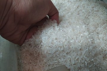 Peneliti ingatkan panjangnya proses birokrasi perdagangan pangan beras