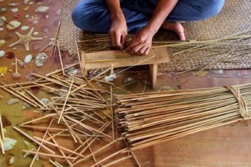 Berkah dari rawa gambut untuk mereka yang kreatif