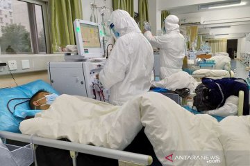 Korban meninggal di China akibat virus corona bertambah jadi 41