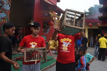 Perayaan Imlek di Banten