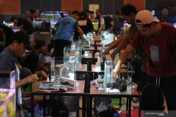 Pameran dan kompetisi Aquascape