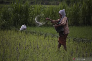 Mentan minta distribusi pupuk bersubsidi ke petani tidak terlambat