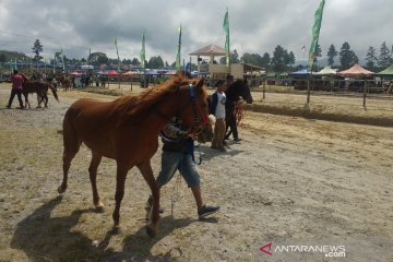 327 kuda ikut lomba pacuan kuda tradisional di Bener Meriah