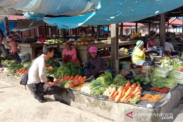 Jayawijaya optimistis dapat penuhi kebutuhan sayur-mayur PON 2020