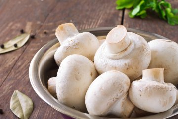 Konsumsi jamur putih jadikan tubuh bugar dan cegah kanker