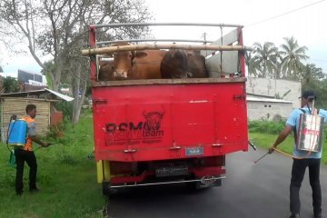 Dinas Peternakan Magetan perketat pintu masuk hewan ternak