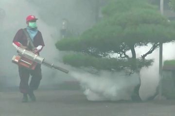 Tiga desa di Temanggung KLB demam berdarah