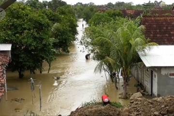 3000 lebih warga Demak terdampak banjir