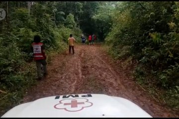 PMI-SAR evakuasi ratusan korban banjir Lebak terisolasi dalam hutan