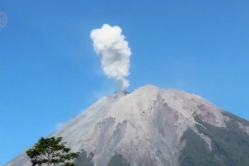 Aktivitas vulkanologi Gunung Semeru meningkat