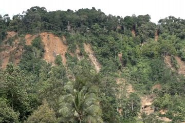 Solusi permanen ala BNPB tanggulangi tanah longsor