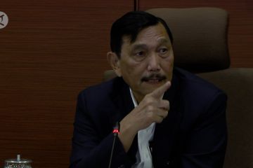 Luhut pastikan subsidi gas 3 kg akan dikurangi secara bertahap