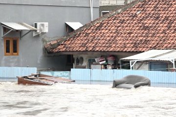 Presiden minta jajarannya terus terjun ke lapangan tangani banjir