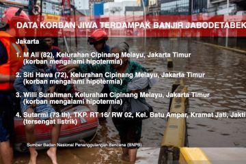 16 korban jiwa banjir Jabodetabek, ini datanya