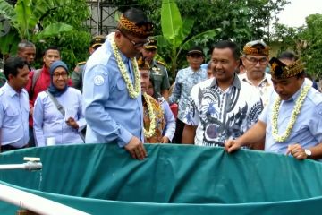 KKP dorong budidaya lele di Kabupaten Bandung dengan bioflok