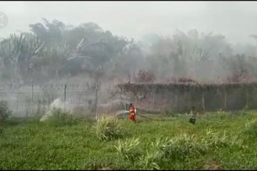 Lahan gambut di sekitar Bandara Halmahera Selatan terbakar