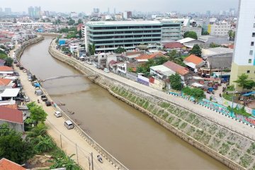 Penggabungan normalisasi dan naturalisasi untuk atasi banjir Jakarta