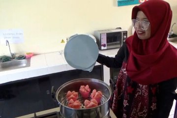 Kreasi kue mangkok khas Imlek berbahan buah naga dan tape singkong