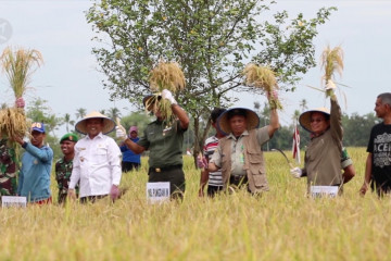 Memberi fasilitas lebih pada petani agar Aceh surplus padi