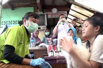 Periksakan hewan terdampak banjir ke klinik keliling gratis