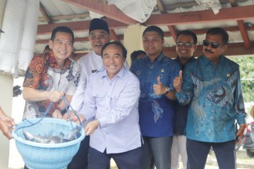 KKP bakal bangun Pusat Induk Ikan Unggul Nasional