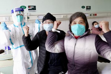 Jepang bakal karantina kapal pesiar yang ditumpangi pasien corona