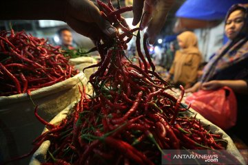 BPS: Kenaikan harga cabai dongkrak inflasi Januari