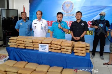 BNNP Banten amankan tersangka penyelundup 100 kilogram ganja