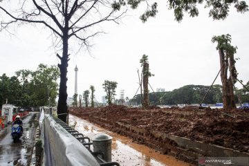 Revitalisasi Monas, 191 pohon ditebang diindikasikan "dimanfaatkan"