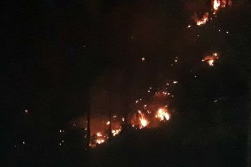 Tiga hektare lahan serai wangi terbakar di Gayo Lues Aceh