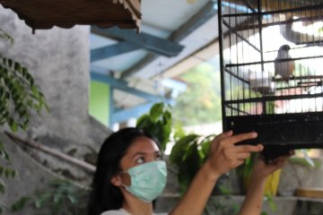 100.000 vaksin tersedia antisipasi flu burung di Lampung